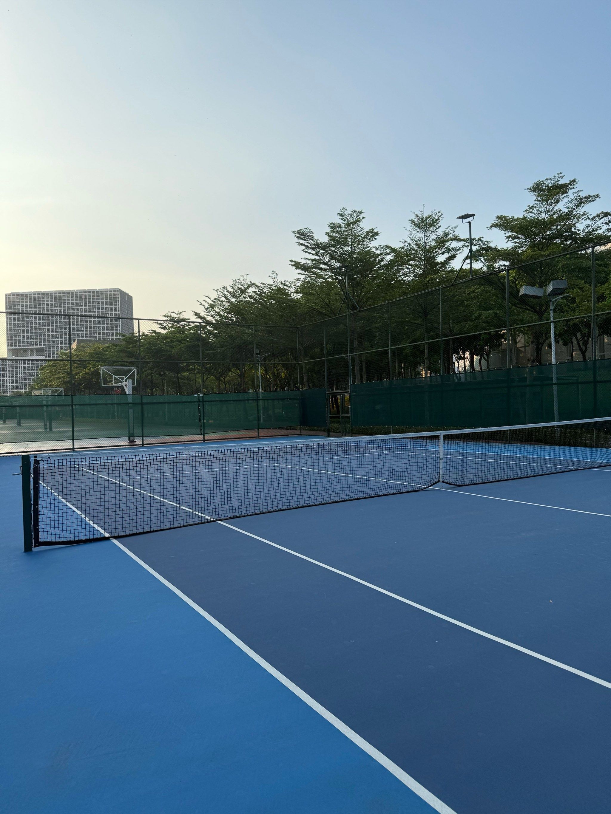 段多样的球 段多样的球