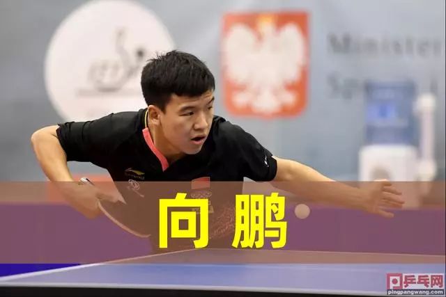 成功的案例