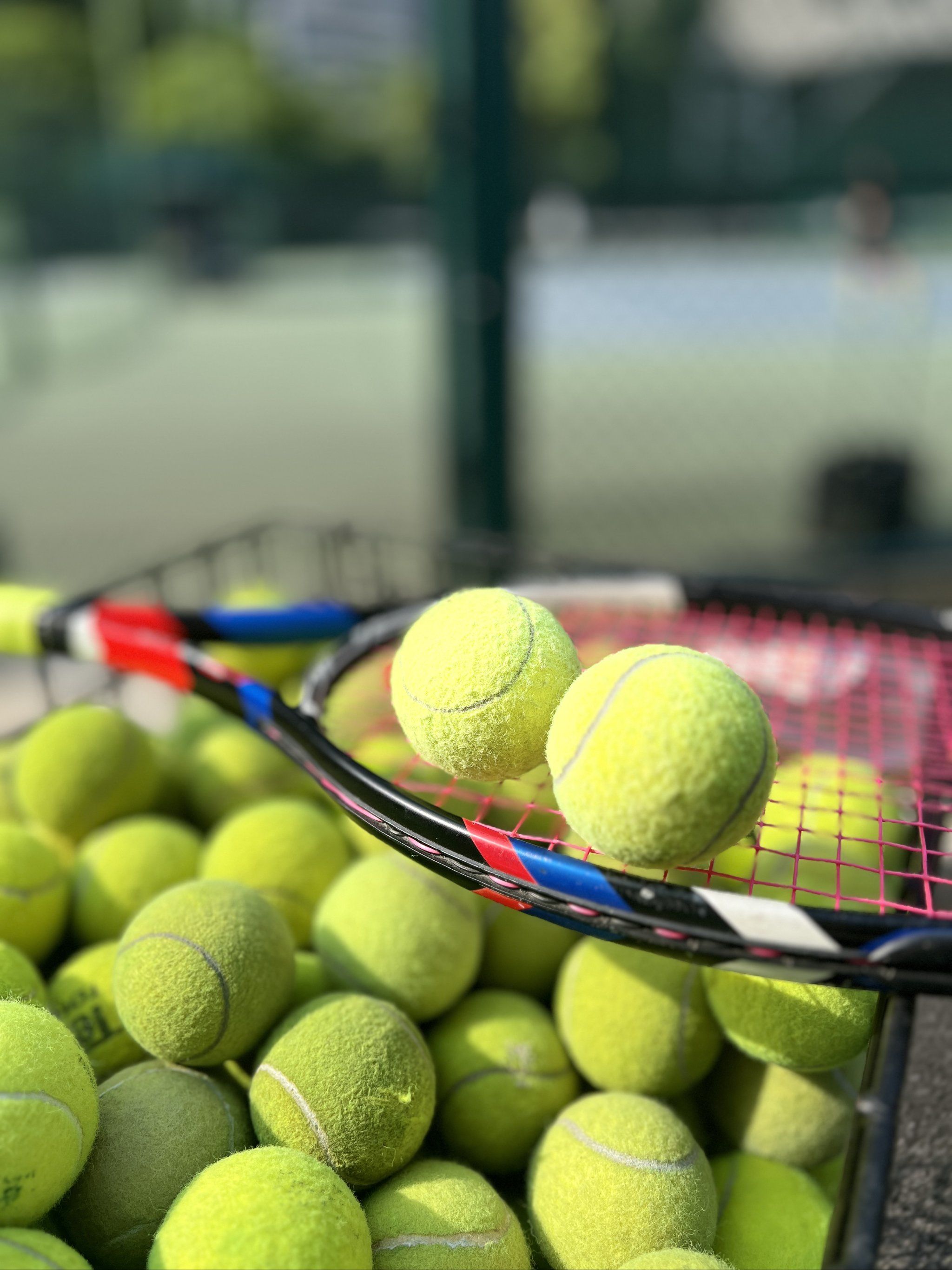 了重要贡献 了重要贡献